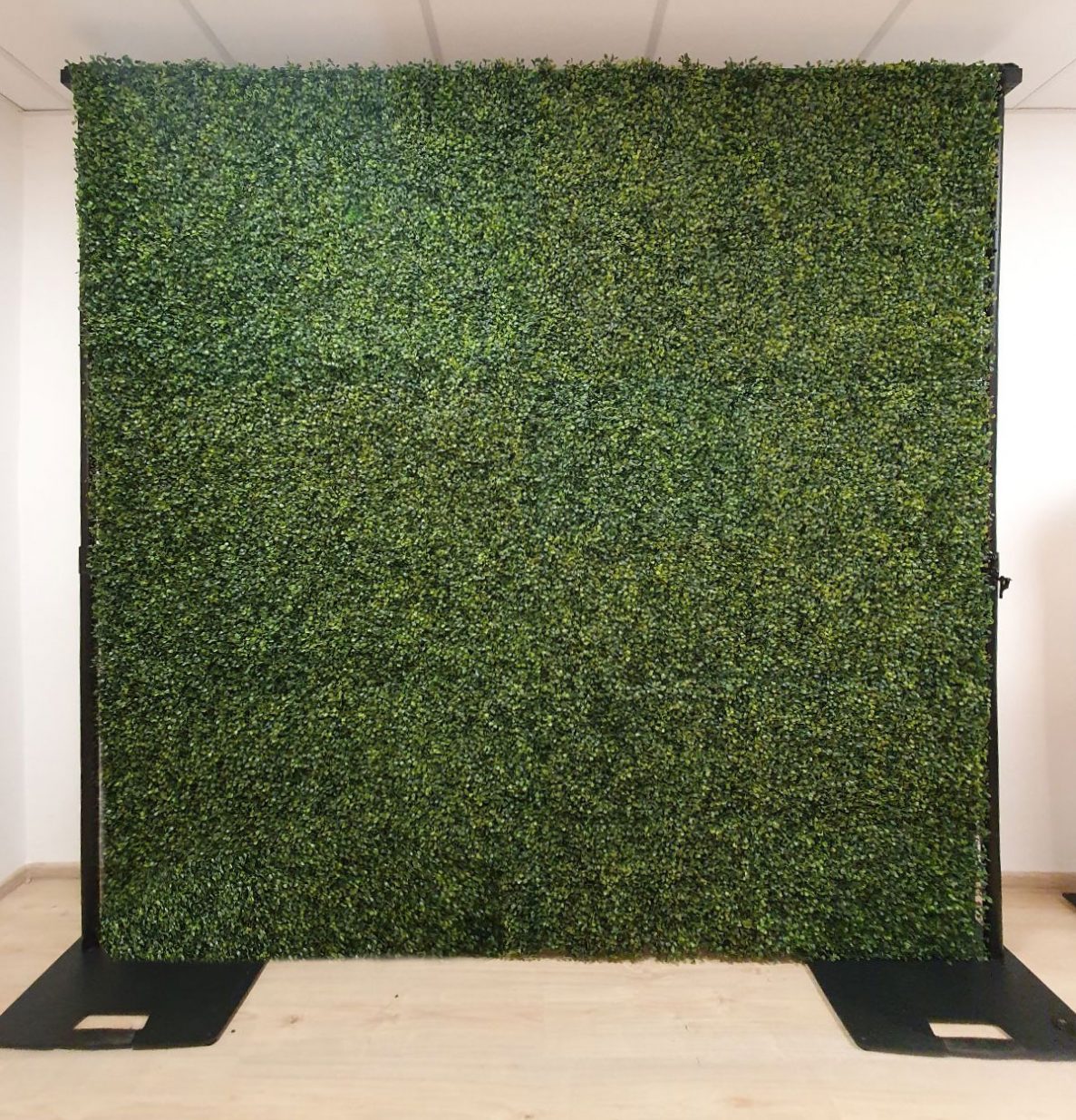 boxwood fotostena kruspan fotokutik sk FOTOKÚTIK.sk