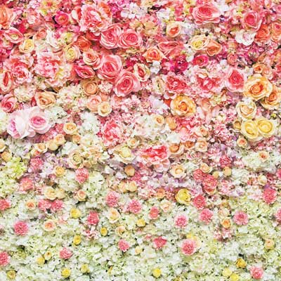Fotostena Flower wall - fotokútik prenájom - kvetinová stena.